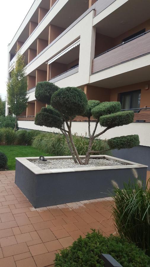 Big Forest Apartman Debrecen Exterior photo